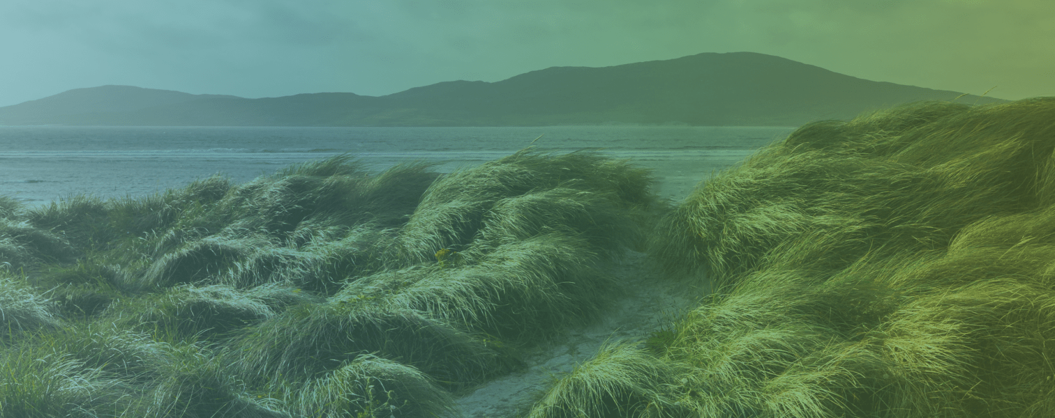 netzero_banner